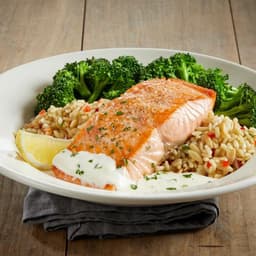 Atlantic Salmon*