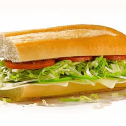 #14 the Veggie