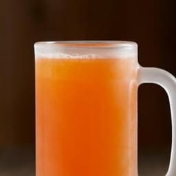 Bj's Handcrafted Orange Cream Soda