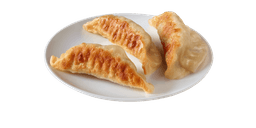 Chicken Potsticker